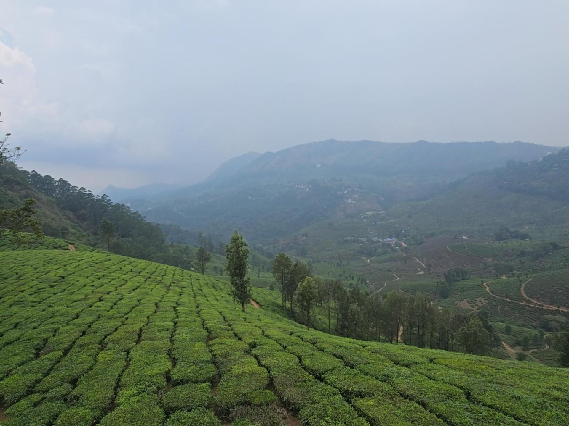 Hotel Beauty Spot Munnar Exterior foto